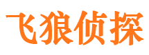 新河侦探